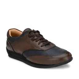 San Frissco Brown & Navy Sneakers-picture-14