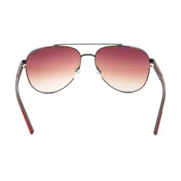 Irus Brown Pilot Sunglasses For Men image 5