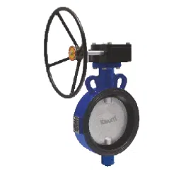 Kranti 6 inch, 150 mm SG Iron Gear Operated Butterfly Valve, PV-403L-picture-45