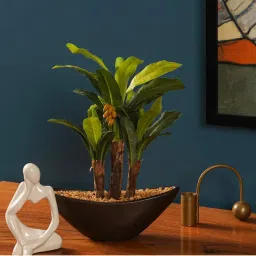 The Artment Banana Bonsai Artificial Table Plant with Pot (H-31 Cm)-picture-12