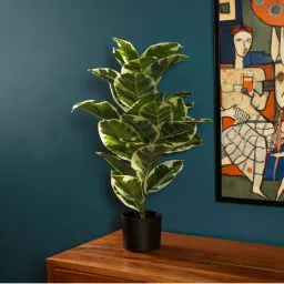 The Artment Verdora Rubber Artificial Table Plant with Pot (H-78 Cm)-image-7