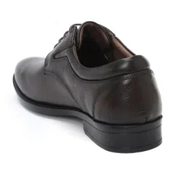 Zoom Shoes Men's Brown Derby Shoes image 5
