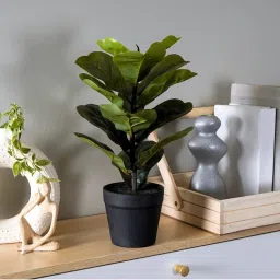 The Artment Fiddleleaf Artificial Table Plant with Pot (H-37 Cm)-image-60