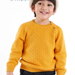 Babyoye  100% Cotton Cable Knit Full Sleeves Pullovers - Mustard-image-69