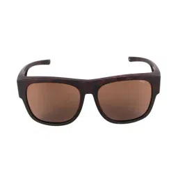 INVU E2802B Light Brown Polarized Square Sunglasses-image-7