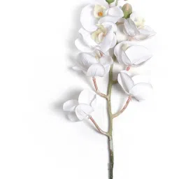 Pure Home and Living White Polyester Solid Flower Stems image 5