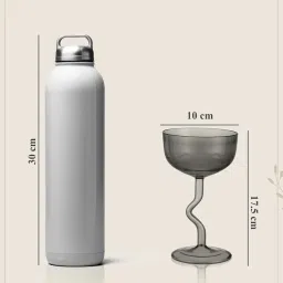 troveas Trovea's Classic And Elegant Coupe Transparent Glass Cocktail Glass - Set of 2 image 5