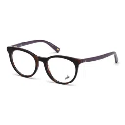 WEB EYEWEAR Brown Round Unisex Eye Frames-picture-16