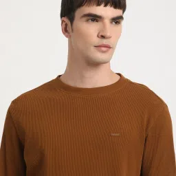 The Bear House Brown Cotton Regular Fit Texture Sweatshirt image 5