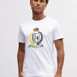 Iconic Men Solid Regular Fit Cotton T-shirt-picture-16