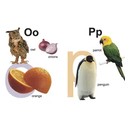 om books international My First Book of ABC Board Book - English image 4