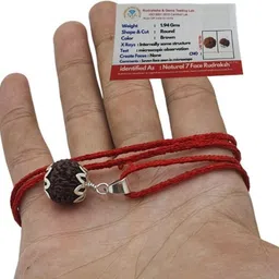 allendazzy Original 7 Mukhi Rudraksha Seven Face Rudraksha Metal Cap Nepali Bead Silver Brass, Wood Locket image 2