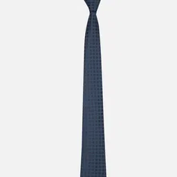 Van Heusen Men Checked Ascot Tie image 3