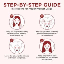 Orgatre Set Of Damage Repair Shampoo & Hair Care Conditioner - 250ml Each image 2