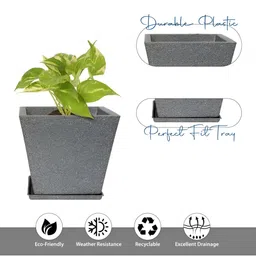 GARDEN'S NEED Jaguar Greece Grey Planters With Tray image 2