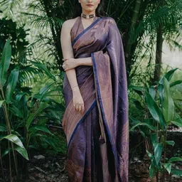 Areca Designer Woven Design Zari Pure Silk Banarasi Saree-picture-33