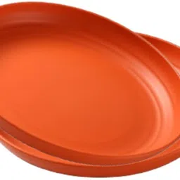 yanci 23 cm Large Plastic Plates, Unbreakable and Reusable Light Weight Dinner Plates Dinner Plate image 1