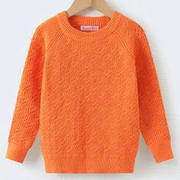 Kookie Kids Knit Full Sleeves Pullover Sweater with Cable Knit Design - Orange-image-88