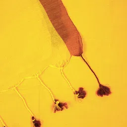 TEEJH Pure Cotton Saree image 3