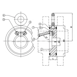 Leader 3 Inch,80 mm Cast Iron Wafer Type Check Valve CI 038A image 2