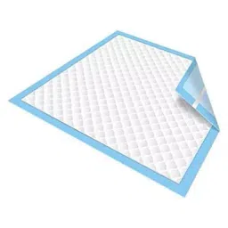 Shakuntla 60X90 cm Disposable Underpad Sheet - Pack of 10 Sheets image 2