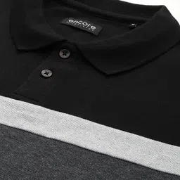 encore by INVICTUS Men Colourblocked Polo Collar Knitted T-shirt image 2