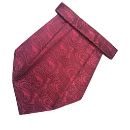 voici Paisley Design Cravats image 5
