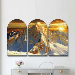 Myntra Elegant Homes White Set of 3 Piece MDF Other Wall Photographs-picture-14