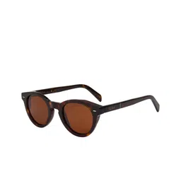 Ted Smith Unisex Round Sunglasses with Polarised Lens image 4