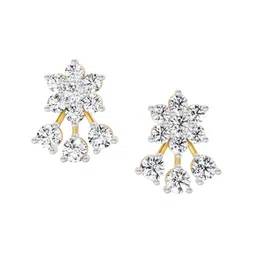 Sparkles Women Earrings Diamond image 1