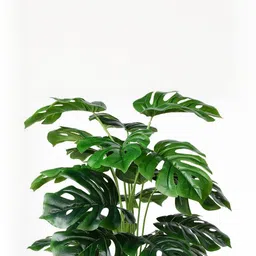 Dekorly Green Artificial Flowers & Plants With Pot-picture-16