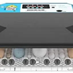 tm&w Fully Automatic 12v Dc 220v AC Power 64 Duck Goose Chicken Eggs Incubato Egg Incubator-picture-11