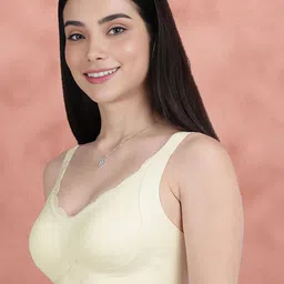 Susie Women Medium Coverage Lightly Padded T-shirt Bra image 2