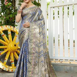 Zeenat Duniya Woven Design Zari Organza Saree-picture-26