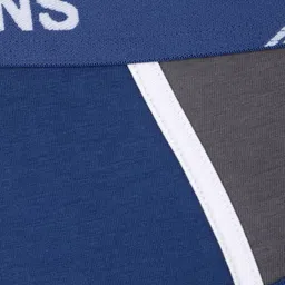 Pepe Jeans Men Blue & Grey Colourblocked Briefs 8904311303800 image 3
