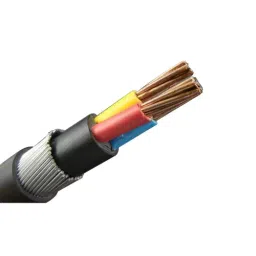 Polycab 70 Sq.mm 3 Core Copper Conductor Unarmoured LT Power Cable 2XY-picture-14