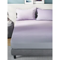 nautica accessories Nautica Multi-Color Super Soft Pure Cotton Bedsheet with 2 Pillow Covers (King) image 3