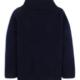 RVK Full Sleeves Ribbed Stretchable Skivvy Pullover Sweater- Navy-picture-16