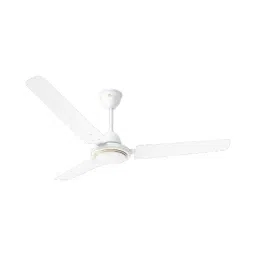 RR Signature TIGER Ceiling Fan White 600 mm Sweep 380 RPM-image-57