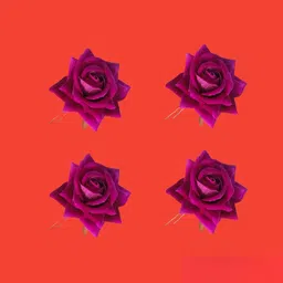 LYF5STAR Set of 4 U Pins-image-2