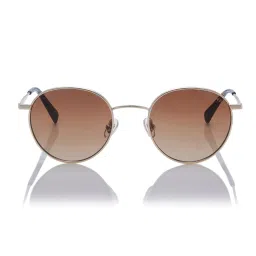 Shisen Fox Yamato Light Gold - Brown Gradient Brown Lens Sunglasses (50) image 3