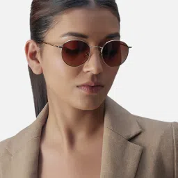 Shisen Fox Yamato Light Gold - Brown Gradient Brown Lens Sunglasses (50) image 4