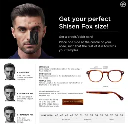 Shisen Fox Yamato Light Gold - Brown Gradient Brown Lens Sunglasses (50) image 5