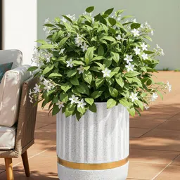 HOMESTIC White Ribbed Round Rotomould Weather-Safe Flower Planter & Drainage Hole image 5