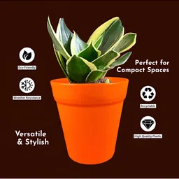 GARDEN'S NEED Excal 5Pcs Orange-Colored Planters image 5