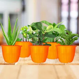 go hooked 8 Inch Duro Pot for Plants with Saucer Tray image 2