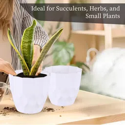 Kuber Industries White & Pink 6 Pieces Barfi Textured Durable Planters image 2