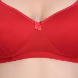 Liigne Pack Of 2 Full Coverage Non Padded Cut And Sew T-shirt Bra With All Day Comfort image 4