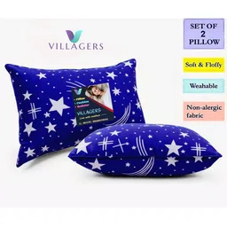 VILLAGERS Set of 2 Blue Polyester Pillows-picture-40