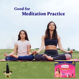 Hari darshan 12-Pieces Pink & Blue 4 In 1 Pure Dhoop Combo-192 Sticks image 4